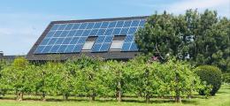 Energieagentur will Solar-Boom im Rems-Murr-Kreis weiter beschleunigen