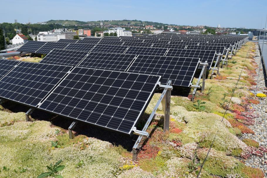 Projektstart für zweifach grüne Unternehmensdächer in Waiblingen