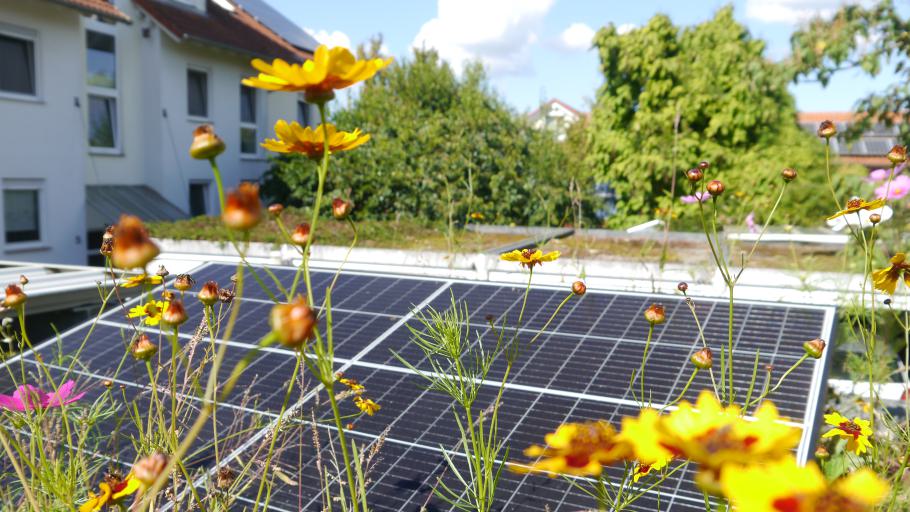 Urbach | Vortragsabend "Zapf die Sonne an: Solarstrom selbst produzieren"