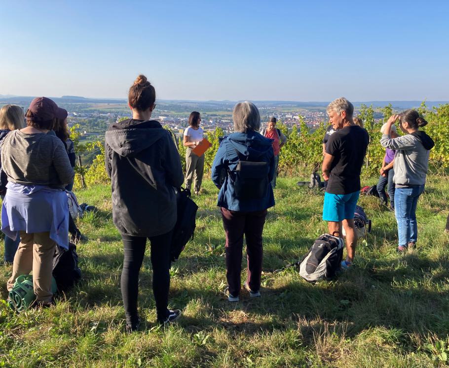 Walderleben mit der Energieagentur